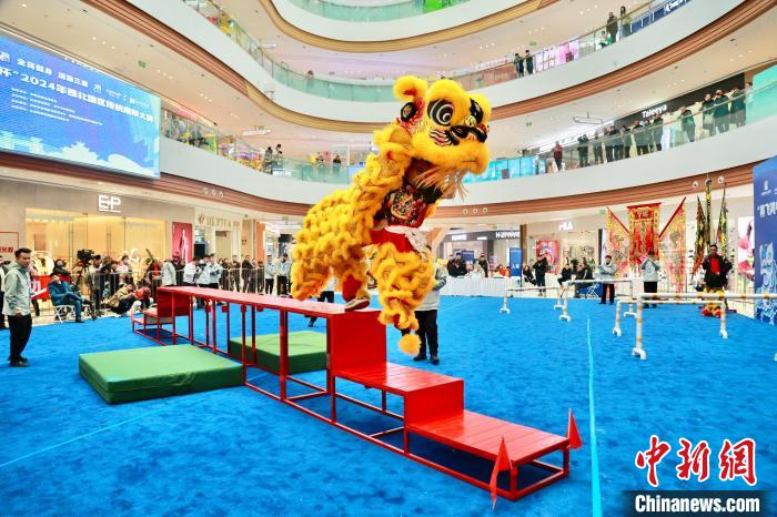 汉中承办西北传统南狮争霸赛：以赛事为媒推动